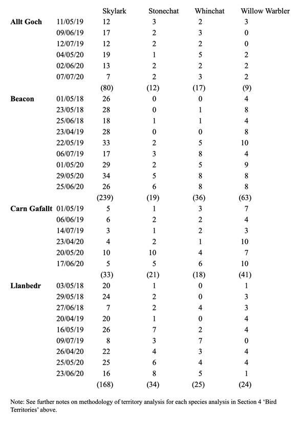 bird survey